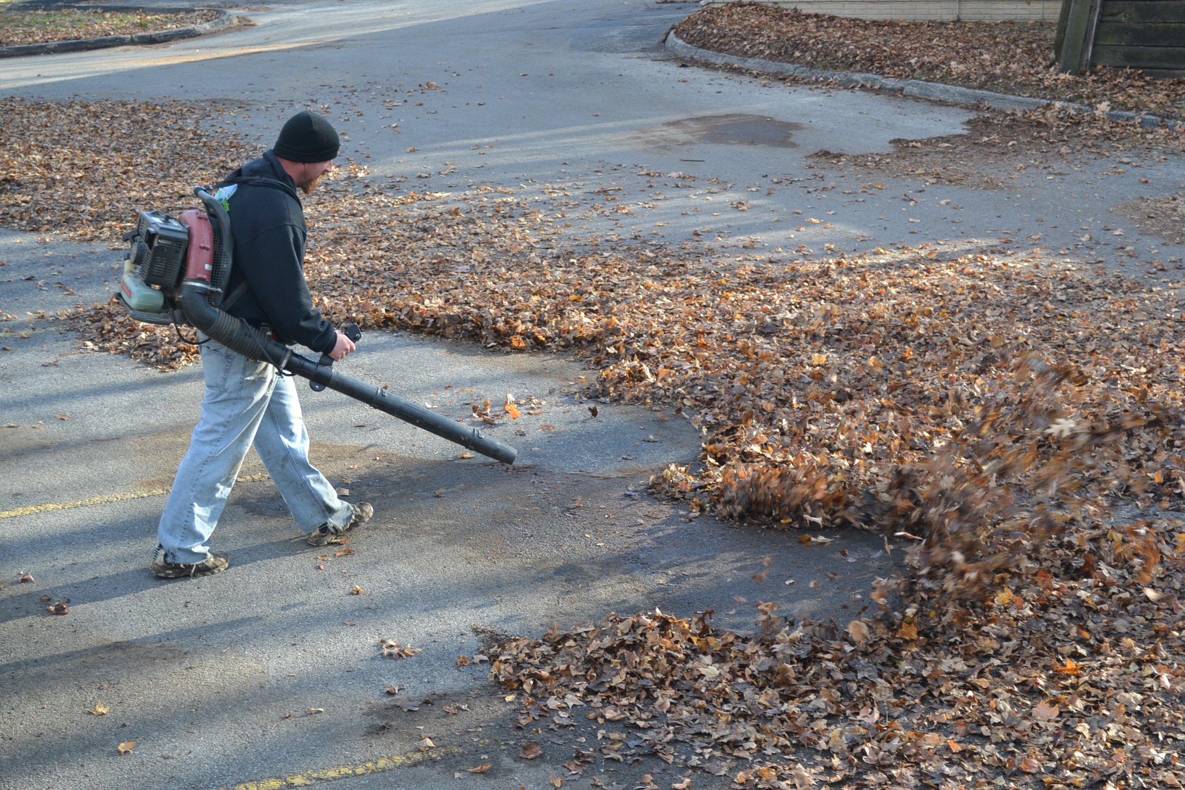 Professional Leaf Removal Service Provider in Lees Summit, MO