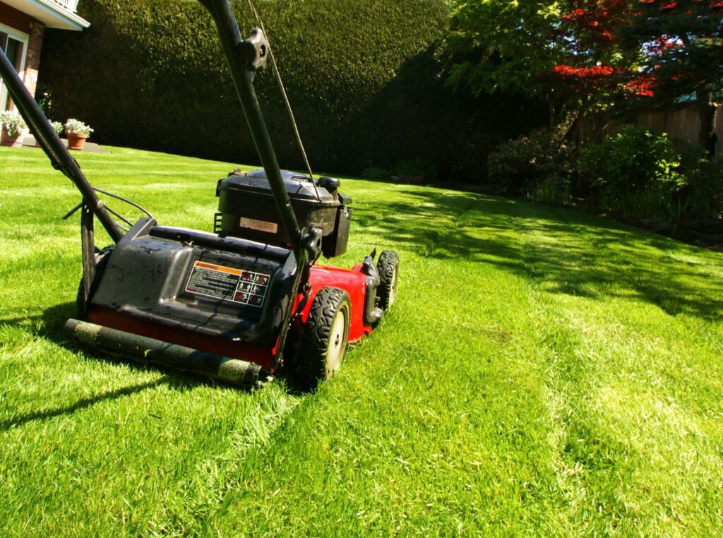 Lawn Mowing Service in Lees Summit, MO