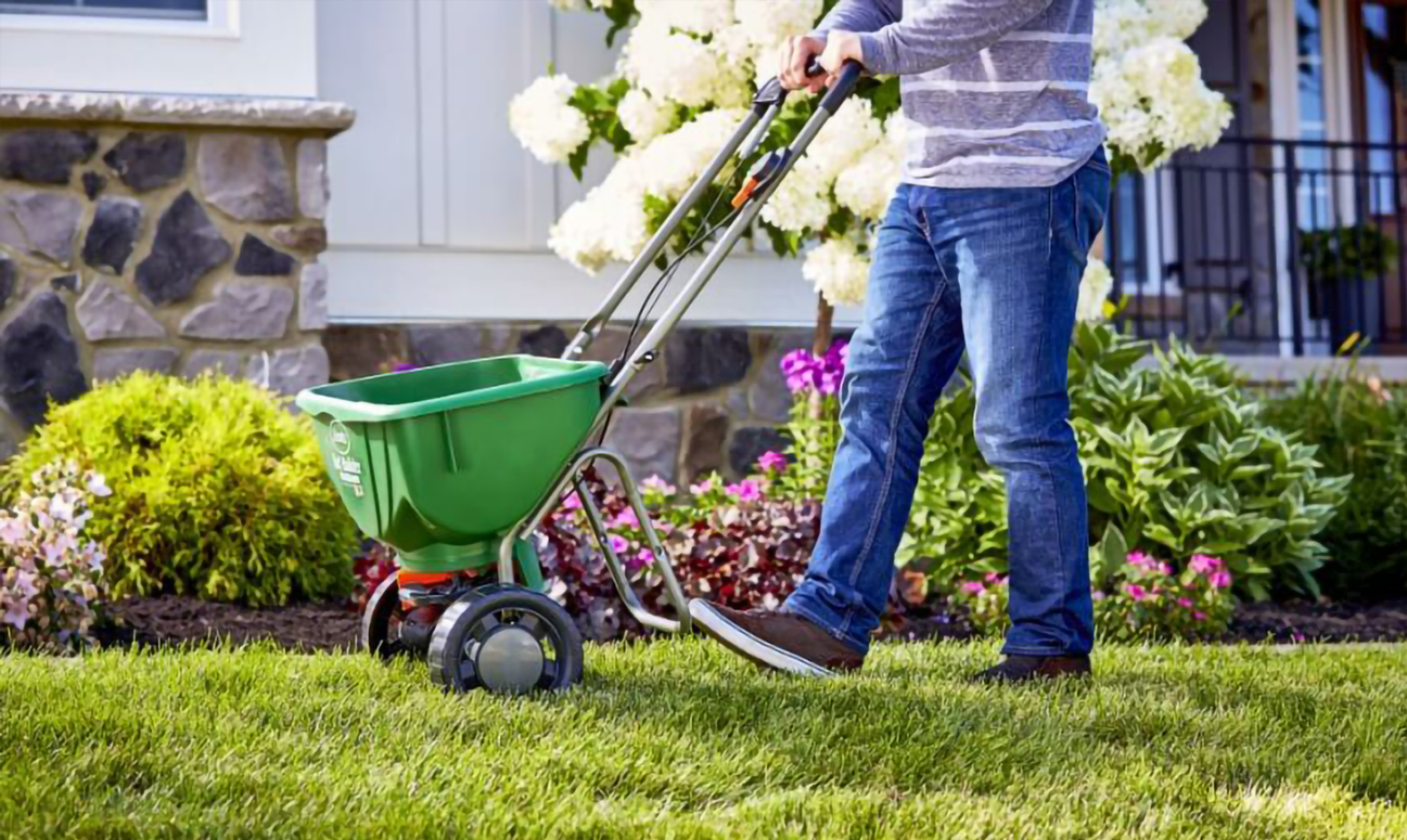 Professional Lawn Care Services in Lees Summit, MO