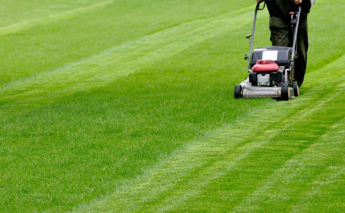 Trusted Lawn Mowing Service in Lees Summit, MO